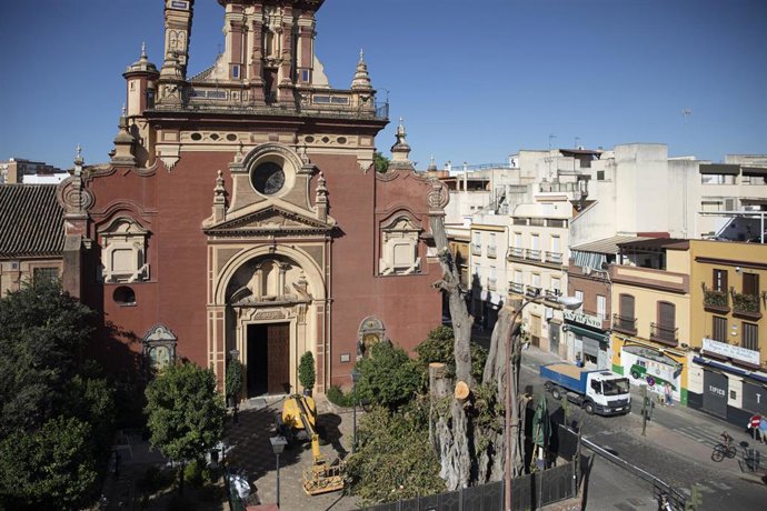 Archivo - Vista general de la fachada de la Parroquia de San Jacinto con el ficus desarbolado. 