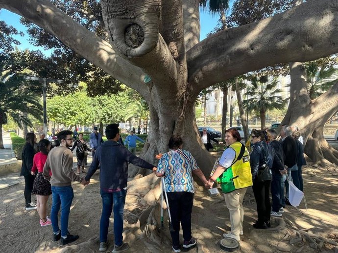 Presentación del cupón de la ONCE dedicado al ficus Laurel de la India, de Almería.
