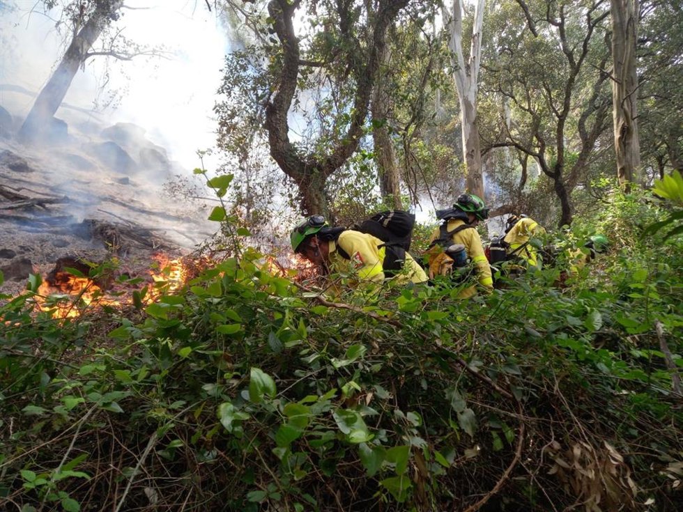 Efectivos del Infoca luchan contra el fuego en Tarifa, foto de archivo