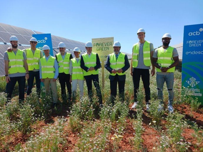 Acto de Endesa , la Asociación de Clubes de Baloncesto y Forever Green, del Real Betis, en La Corchas, planta solar de Endesa en Carmona.