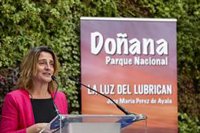 Ribera, "muy enfadada" con Moreno Bonilla al que compara con un "acosador" y "señorito" que "esquilma" Doñana