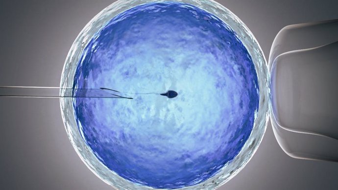 Archivo - 3d rendering ovum with needle for artificial insemination or in vitro fertilization