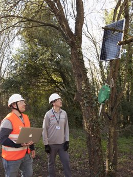 Archivo - Securitas despliega en DuPont Asturias la primera solución IoT para la detección precoz de incendios forestales