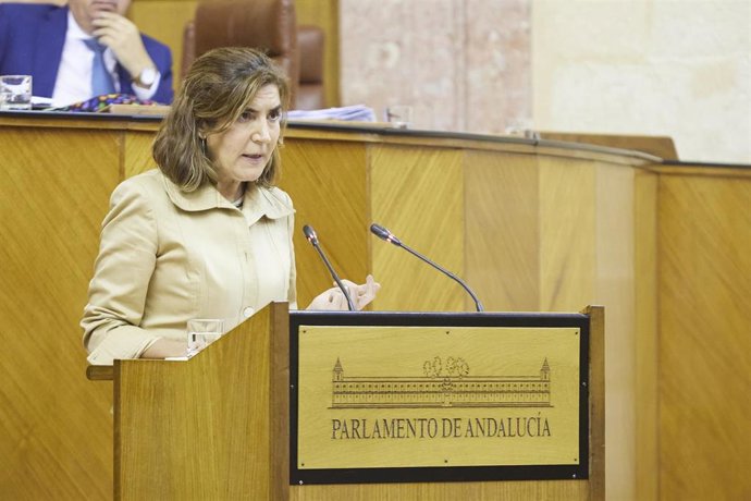 La consejera de Empleo, Empresas y Trabajadores Autónomos de la Junta de Andalucía, Rocío Blanco.