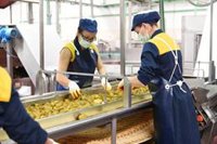 La constitución de sociedades aumentó un 4% en CLM y concursos de acreedores cayeron un 40% entre enero y marzo