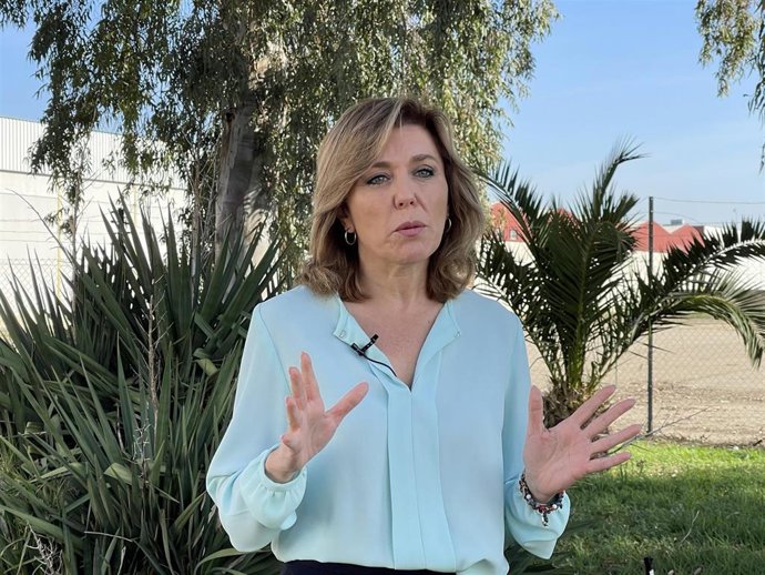 La portavoz del PSOE-A en la Comisión de Agricultura, Pesca, Agua y Desarrollo Rural del Parlamento andaluz, la cordobesa Ana Romero.