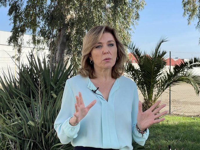 La portavoz del PSOE-A en la Comisión de Agricultura, Pesca, Agua y Desarrollo Rural del Parlamento andaluz, la cordobesa Ana Romero.