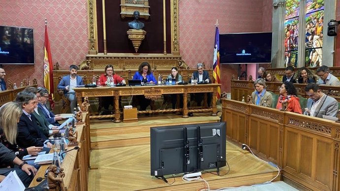 Celebración del pleno del Consell de Mallorca.