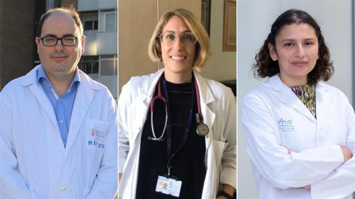 Investigadores autores de la guía