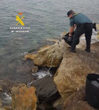 Intervenidos 84 kilos de anémonas de mar capturadas ilegalmente en una playa de Castell de Ferro (Granada)