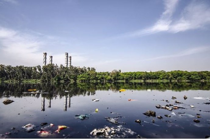 Un estudio del CSIC indica que las zonas naturales empiezan a estar tan contaminadas como las ciudades