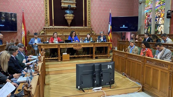 Pleno del Consell de Mallorca