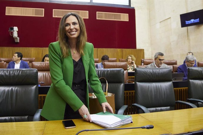 La consejera de Fomento y Articulación del Territorio de la Junta de Andalucía, Rocío Díaz, durante la primera jornada del Pleno del Parlamento andaluz.