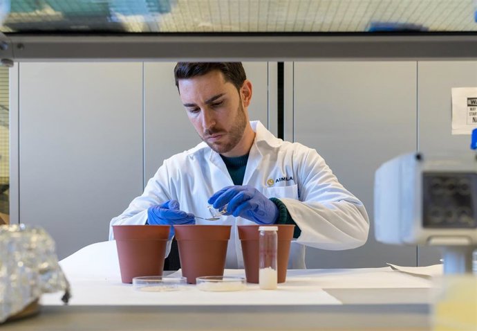 AIMPLAS desarrolla hidrogeles a partir de algas marinas que retienen el agua para mejorar el rendimiento de los cultivos