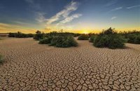 Transición global hacia sequías repentinas bajo el cambio climático