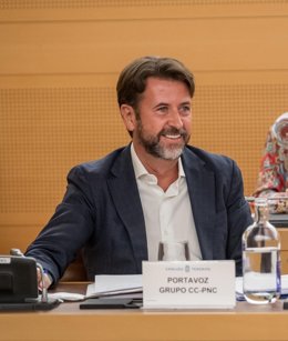 El portavoz del grupo de CC-PNC en el Cabildo de Tenerife, Carlos Alonso