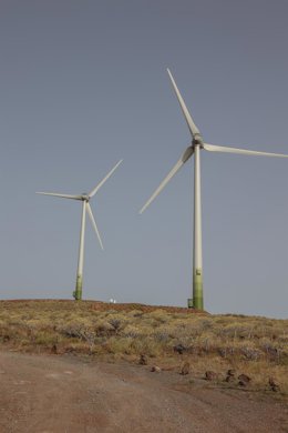 Molinos de viento.
