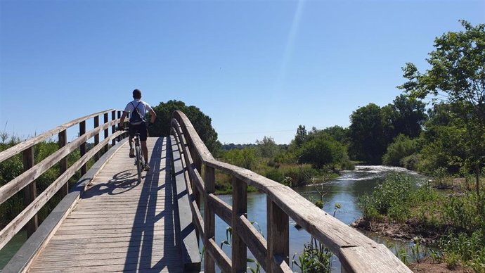 Archivo - Puente en el Parque Natural del Turia, a su paso por Riba-roja