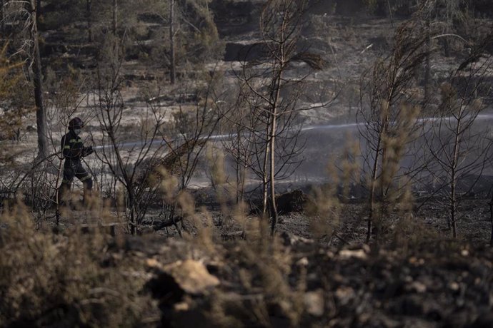 Un efectivo de las brigadas forestales echa agua con una manguera durante los trabajos del incendio de Villanueva de Viver