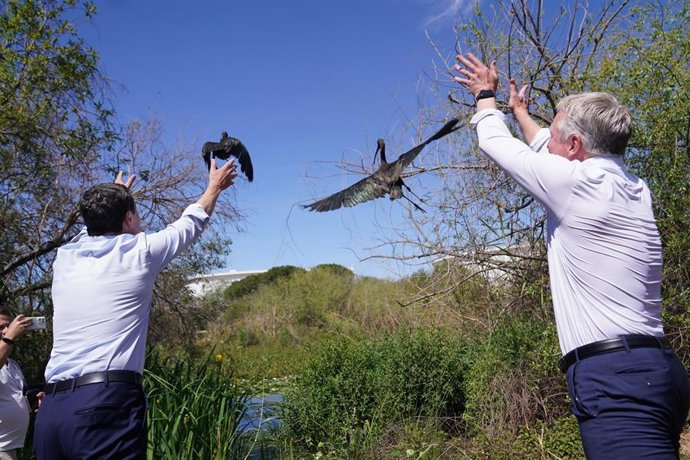 El presidente de la Junta, Juanma Moreno, en la suelta de un ave acuática en la Laguna Primera de Palos.