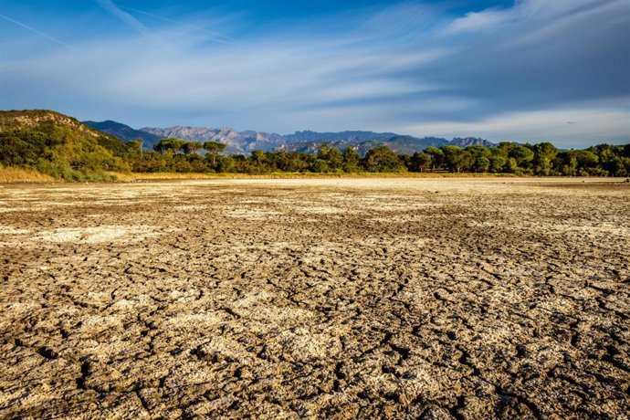 El objetivo del IIDMA es impulsar planes de formación de la escuela judicial que incluyan temas medioambientales para la aplicación efectiva de las normas de protección del medio ambiente y el acceso a la justicia en esta materia.