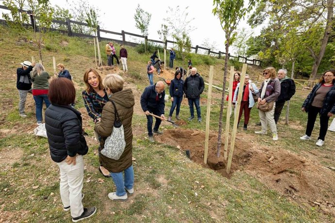 La Asociación Cultural Zaragoza-Japón planta los cerezos del futuro Jardín Japonés del Parque Grande