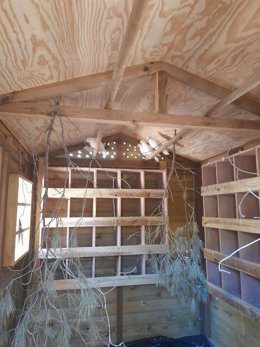 Palomar ecológico donde se suministra pienso anticonceptivo y se controla la nidificación de palomas en el parque del bosque de la Ribera