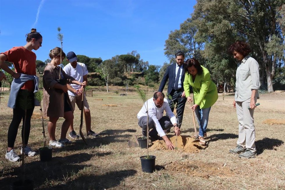 Plantación de árboles con el proyecto.