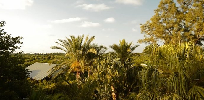 Todolí Citrus Fundació
