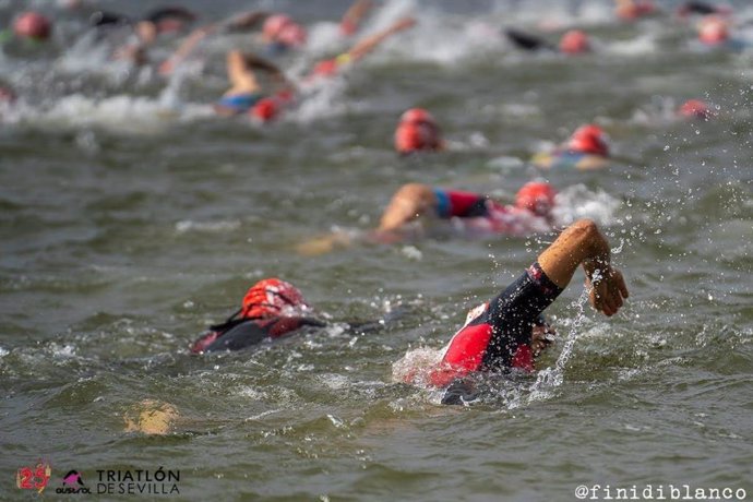 Archivo - Nadadores de Triatlón