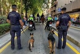 Proyecto piloto de asistencia canina de apoyo a las víctimas de violencia de género del Ayuntamiento de Granada