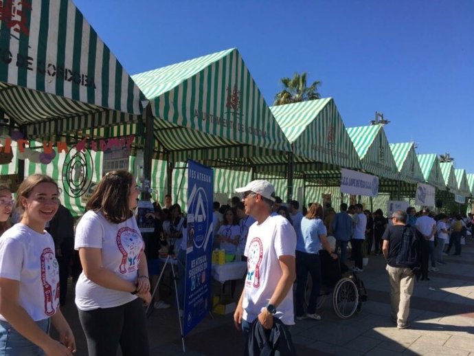 Más de 1.600 estudiantes muestran sus proyectos científicos en el XVII Paseo por la Ciencia