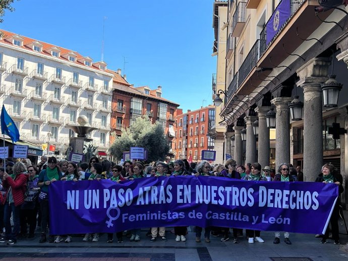 Más de 400 personas de colectivos feministas piden en Valladolid aborto "libre y gratuito" en los hospitales públicos