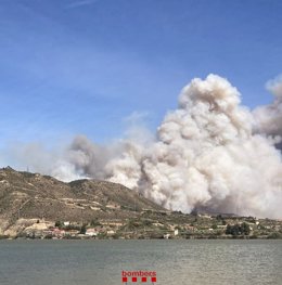 Imatge de l'incendi entre la Granja d'Escarp (Lleida) i Mequinenza (Saragossa)