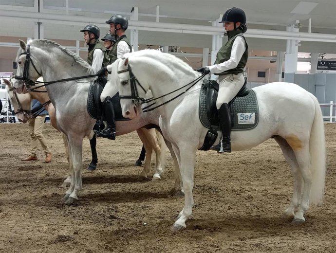 Una treintena de personas en desempleo se forman en el sector ecuestre con cursos del SEF