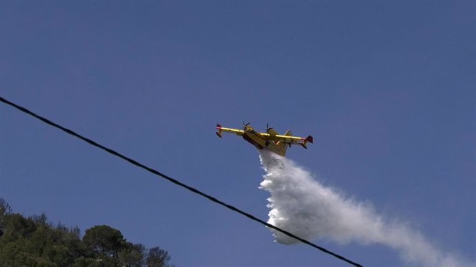 Un medio aéreo en el incendio forestal de Alzira (Valencia)