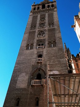 Montaje de los andamios en la cara norte de la Giralda para llevar a cabo la restauración de esta parte de la Torre.