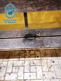 Detenido por provocar daños con varios fuegos intencionados en Málaga capital