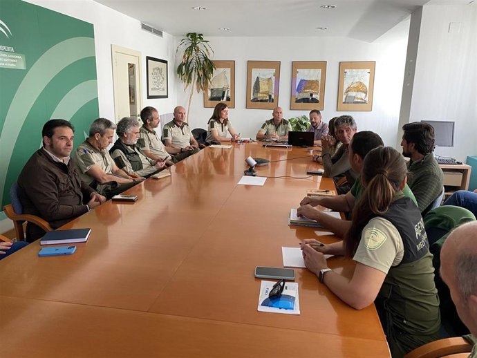 Reunión de coordinación para la puesta en marcha en Huelva del Programa de Seguimiento y Conservación del Aguilucho Cenizo (Cyrcus pygargus) para 2023.