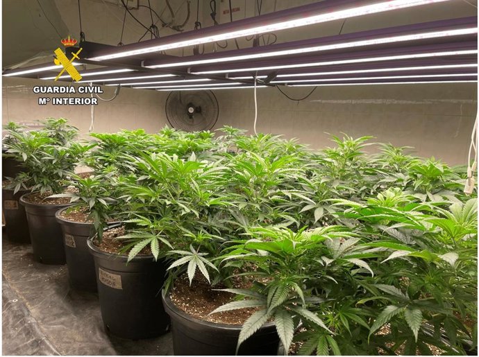 Nueve detenidos por tráfico de drogas en la operación donde dispararon a cuatro agentes en El Moralet