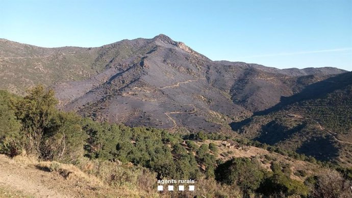 Imagen del incendio de Portbou (Girona)