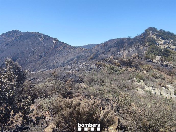 Zona afectada pel foc que ha cremat a Portbou (Girona) i França