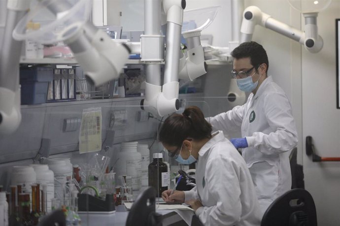 Archivo - Varios trabajadores en el laboratorio de una fábrica farmacéutica