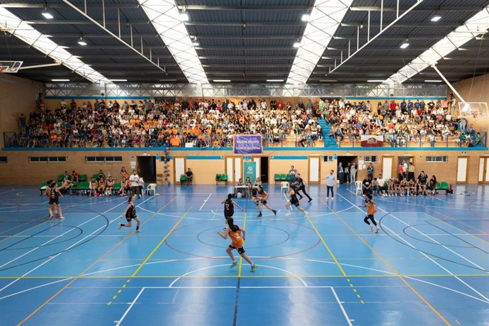 Competición deportiva en uno de los pabellones municipales de Mairena del Aljarafe.