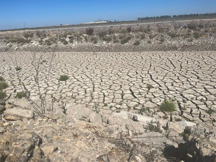 Un canal de riego del arroz seco por falta de agua.