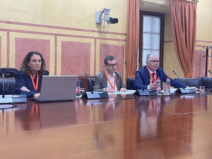 El diputado provincial de Obras Públicas y Vivienda de Granada, José María Villegas, ha comparecido este martes, en nombre de la Diputación de Granada, en una sesión del Grupo de Trabajo constituido en el Parlamento de Andalucía para analizar la sequía.