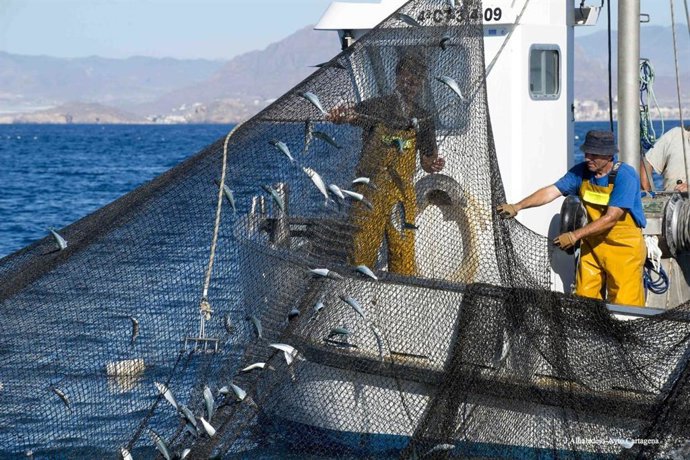 Archivo - La almadraba de La Azohía, en Cartagena (Murcia)