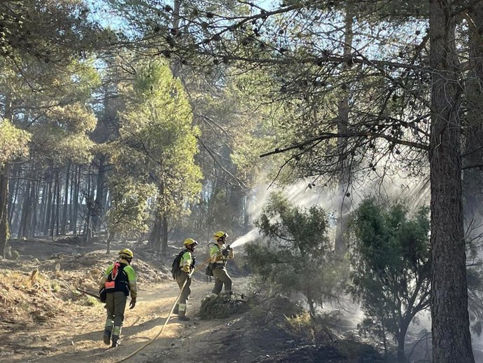 Efectivos de bomberos en el incendio de Villanueva de Viver