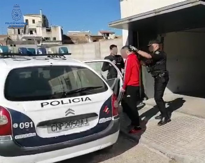 Agentes de la Policía Nacional introducen en el vehículo policial a uno de los detenidos por robos en Manacor