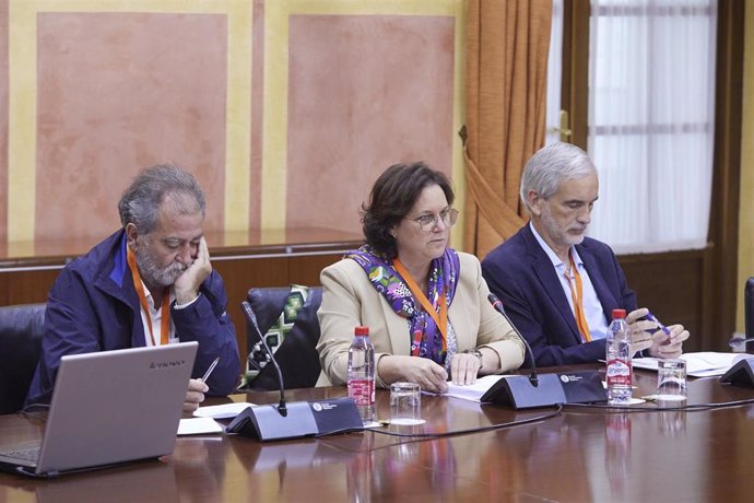 Representantes de la Diputación de Sevilla durante el grupo de trabajo relativo a medidas urgentes para combatir la sequía en Andalucía en el Parlamento de Andalucía, a 18 de abril de 2023 en Sevilla.